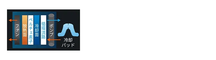 冷却ベストの循環冷却システムの構造図（冷却面・放熱面・循環経路）
