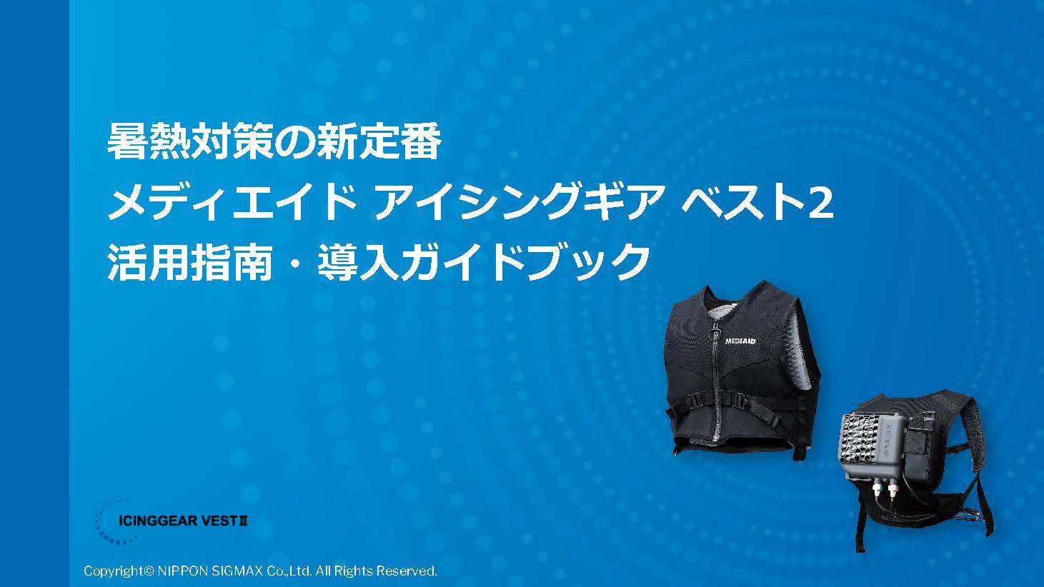 igv2_guide_01